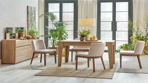 Şile Bıçkıdere Mahallesi İkinci El Eşya Alanlar